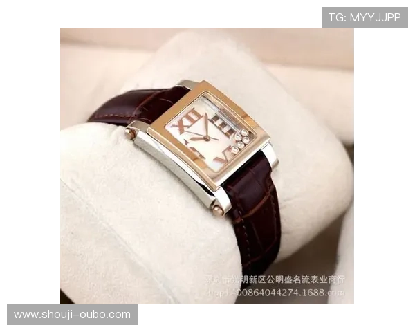 欧博一比一手表的收藏价值,投资与收藏的双重意义解析 欧博一比一手表的收藏价值,投资与收藏的双重意义解析