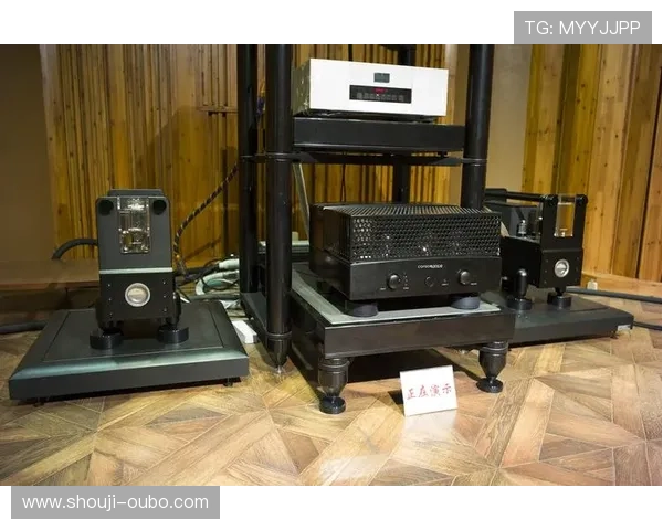 欧博222胆前级的价格分析与性价比比较,帮你找到最适合的高端音频设备选择 欧博222胆前级的价格分析与性价比比较,帮你找到最适合的高端音频设备选择