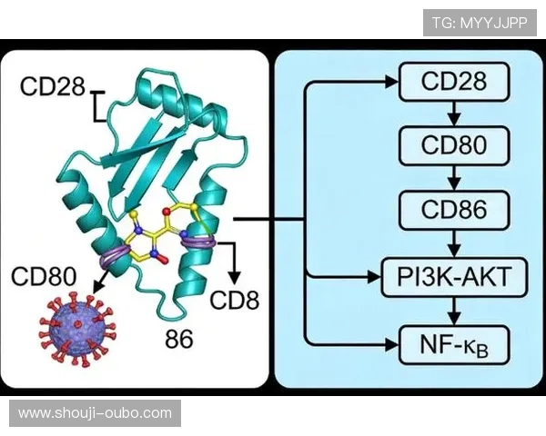 欧博官网代理合作流程全景解析从申请到合作成功的每一步详细指导 欧博官网代理合作流程全景解析从申请到合作成功的每一步详细指导