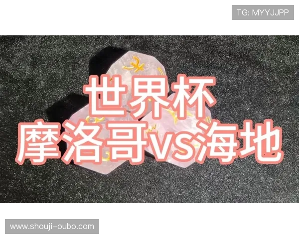 摩洛哥对海地主教练的执教经验与战术创新在世界杯中的实际表现对比